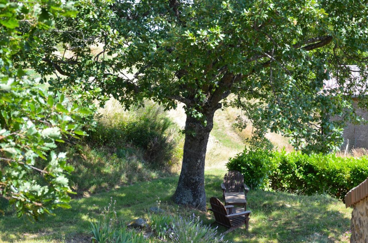 Gites Le Chene & Le Tilleul Saint-Romain-de-Lerps Oda fotoğraf
